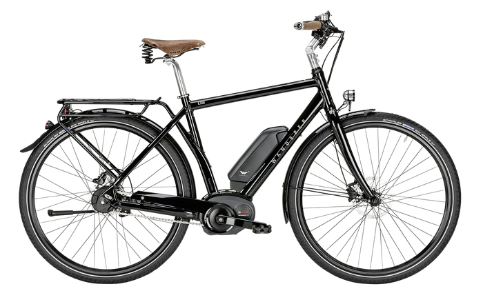 Wanderer Fahrrad E-Bikes